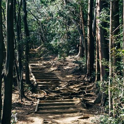 冰火创世纪小米版下载